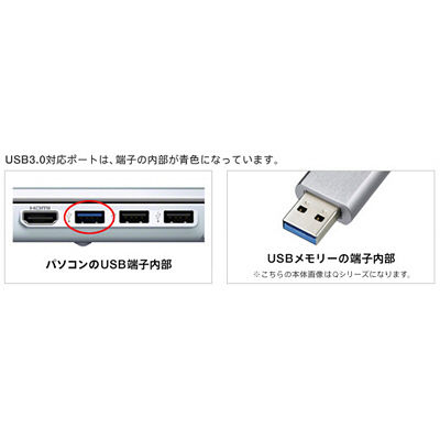 エスコ ESCO 4GB USBメモリー (ウイルス対策ソフト搭載 1年) EA759GV