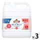 キレイキレイ　薬用泡ハンドソープ　フルーツミックスの香り　業務用　詰替え4L　1箱（3個入）　【泡ハンドソープ】　ライオン