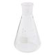 DWK Life Sciences NS共通摺合三角フラスコ 250mL 03022949 1個 1-8407-10（直送品）
