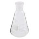 DWK Life Sciences NS共通摺合三角フラスコ 300mL 03022952 1個 1-8407-12（直送品）