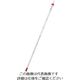 佐藤計量器製作所 赤液棒状温度計 50~50°C 0260-00 1個 1-610-05