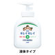 キレイキレイ薬用液体ハンドソープ　本体250mL 　1個　【液体タイプ】