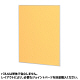 トーカイスクリーン　E-placeパネル　高さ1105mm用　幅700mm　オレンジ　（取寄品）