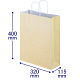 手提げ紙袋　丸紐　パステルカラー　イエロー　L　1パック（3箱計900枚）　スーパーバッグ オリジナル