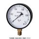 右下精器製造 右下 スター (圧力計)(A枠立型・φ75) 圧力レンジ0.0~0.40MPa S-31-0.4MP 1個 321-3994（直送品）
