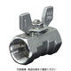 イノック ねじ込みボールバルブ 全長59.0mm 呼び径(A)20 316SRVMB20A 1個 255-0911（直送品）