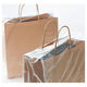 スーパーバッグ　雨の日手提袋カバー（小）　1袋（50枚入） オリジナル
