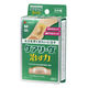 ニチバン 家庭用創傷パッド 救急絆創膏 ケアリーヴ 治す力 Mサイズ 25mm×70mm CN12M 1箱（12枚入）