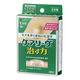 ニチバン 家庭用創傷パッド 救急絆創膏 ケアリーヴ 治す力 ビッグサイズ 60mm×80mm CN5B 1箱（5枚入）