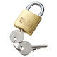サンワサプライ eセキュリティ（南京錠 大 No.5） SLE-1L-5N 1個（直送品）