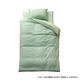 イケヒコ・コーポレーション リバDカバー4点セットGN/LGN掛け・敷き・枕カバー 1380000001662 1個