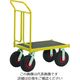 Ravendo 鋼鉄製運搬車 TW750L 144450 1台 206-3117（直送品）
