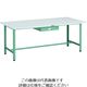 TRUSCO 軽荷重作業台(300kg)AE型 1800X900XH740 薄型1段引出し付 グリーン色 AE-1809UDC1 1台（直送品）