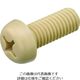 ケミカルスクリュー ポリフェニレンサルファイド 十字穴付ナベ小ネジ M3ー5 (100個入) PPS/PH 1袋(100本)（直送品）