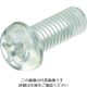 日本ケミカルスクリュー ケミカルスクリュー ポリカーボネート 十字穴付ナベ小ネジ M6ー12 (500個入) PC/PH 1袋(500本)（直送品）