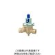 ベン RD31NWーFL減圧弁 RD31NWーFLー25A 1個（直送品）