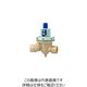 ベン RD32NーFH減圧弁 RD32NーFHー50A 1個（直送品）
