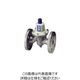 ベン RD3HAFーGH減圧弁 RD3HAFーGHー20A 1個（直送品）