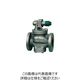 ベン RP6AーG減圧弁 RP6AーGー40A 1個（直送品）