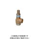 ベン SL38VーD1安全逃し弁 SL38VーD1ー50A 1個（直送品）