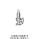 ベン SL6EDーC1ポンプレリーフ弁 SL6EDーC1ー40A 1個（直送品）