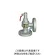 ベン SL43ーG3安全逃し弁 SL43ーG3ー50A 1個（直送品）