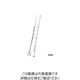 長谷川工業 ハセガワ 脚部伸縮式2連はしご ノビ型 LSK2-1.0-44 1台（直送品）