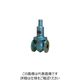 ベン RD14WーBM減圧弁 RD14WーBMー15A 1個（直送品）