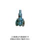 ベン RD14HーBL減圧弁 RD14HーBLー32A 1個（直送品）