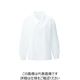 ハネクトーン早川 ブラウス（長袖） ホワイト 17号 8451-17-17 1枚（直送品）