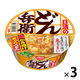 日清食品 日清のどん兵衛 かき揚げ天ぷらうどん 1セット（3食入）