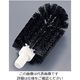 カーライルフードサービスプロダクツ フロアードレインブラシ 41093 1個 62-6602-09（直送品）