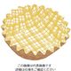 アヅミ産業 紙カップ ココケース 丸型(500枚入) 黄 8 1ケース(500枚) 62-6648-86（直送品）