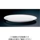 ミヤザキ食器 グランデビアンカ オーバルプレート GB1233 (L) 62-6673-89 1枚（直送品）