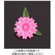 旭創業 プリティフラワー ミニ菊 ピンク (400入) 62-6781-35 1ケース(400個)（直送品）