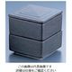 アズワン 角型 二段重 黒 Yー021 62-6788-63 1個（直送品）