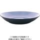 Revol エキノクス クーププレート 27cm シーラス・ブルー 649559 1枚 62-6821-59（直送品）