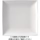 ミヤザキ食器 スパッツィオ スクエア プレート 白 (L)10 1/2インチ 62-6840-19 1枚（直送品）