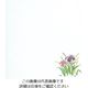 マイン 耐油懐敷 15角 あやめ 1000枚入 C30ー395 295235 1枚(1000枚) 63-1768-04（直送品）