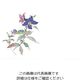マイン 耐油懐敷 15角 ききょう 1000枚入 C33ー003 295245 1枚(1000枚) 63-1768-06（直送品）