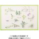 パール金属 Licute 軽くて滑りにくいまな板 L ハーブストーリーG C-1242 1枚 63-2746-52（直送品）