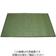 江部松商事 マジカルマット レギュラー 15号 緑 900×1500 63-7236-47 1個（直送品）