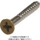 ダイドーハント ネジカラー ステンレス 木ねじ 皿頭 2.4x16ベージュ(16本) 10179102 1パック(16本) 146-6418（直送品）