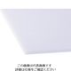 アクリサンデー 発泡PPシート白450mmx600mmx3mm HP-1-M-3MM 1セット(5枚) 197-1589（直送品）