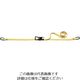 明大 ロックスリング ばく ベルト荷締機 L-500（1mX6m） L-500 1個 851-9552（直送品）