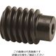 小原歯車工業 KHK ウォームSW1.5ーR2J10 SW1.5-R2J10 1個 140-8098（直送品）