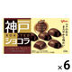 チョコレート 神戸ローストショコラ　バンホーテンブレンド　クリーミーミルク 1セット（1個×6）