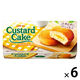 チョコレート菓子 カスタードケーキ　6個入 1セット（1個×6）