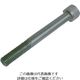ニューストロング キャップスクリュー M16×100 CS-16100 1本 849-9390（直送品）