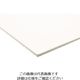 アクリサンデー 発泡スチレンボード HS-SS100A3-5 1セット(5枚) 197-3119（直送品）